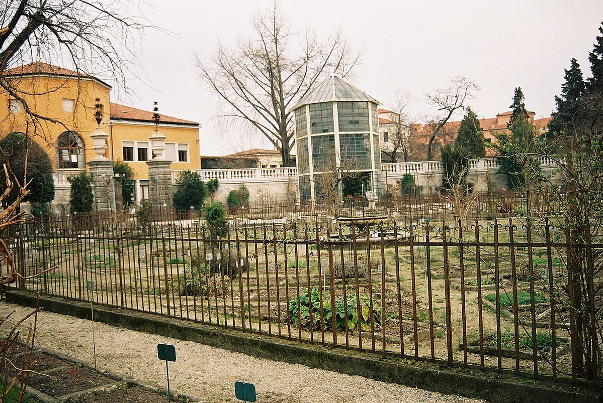 Orto Botanico di Padova